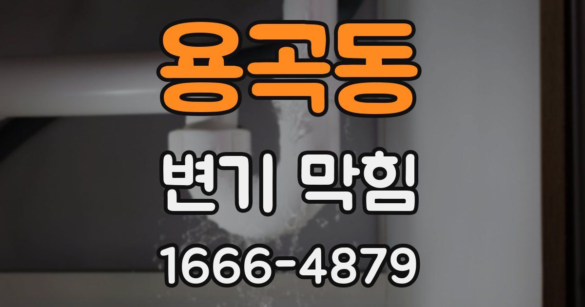 용곡동 변기 막힘