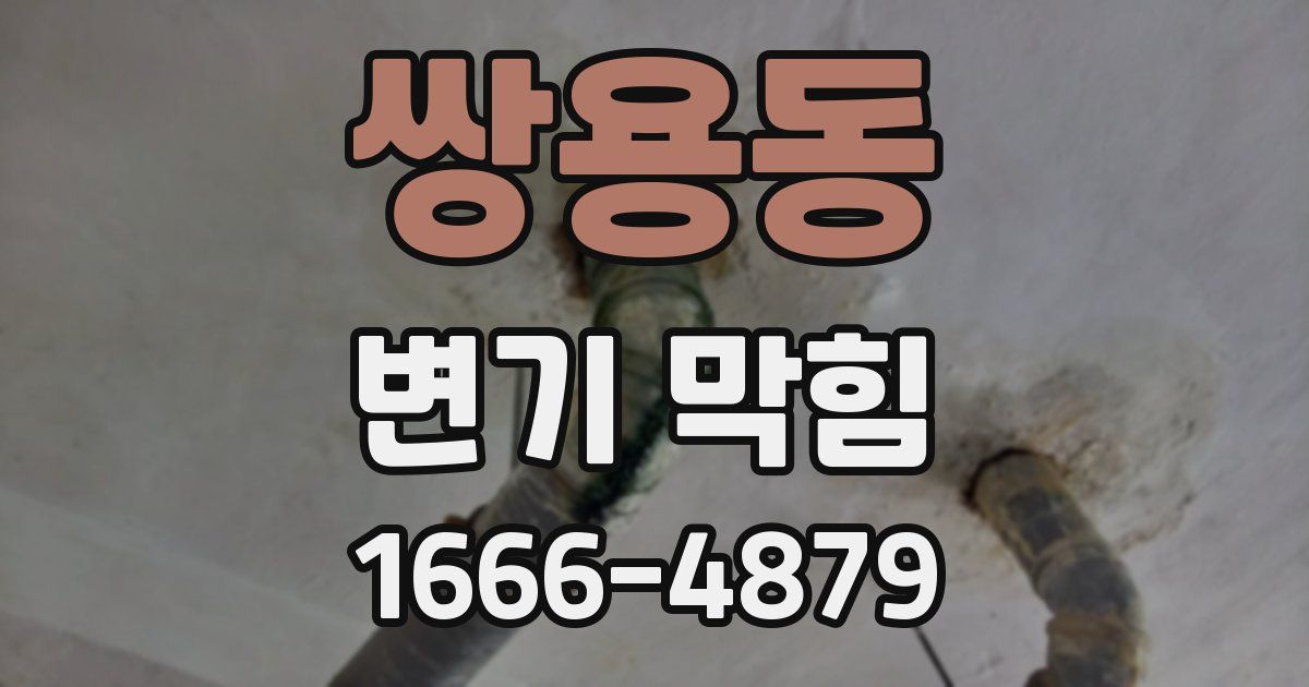 쌍용동 변기 막힘