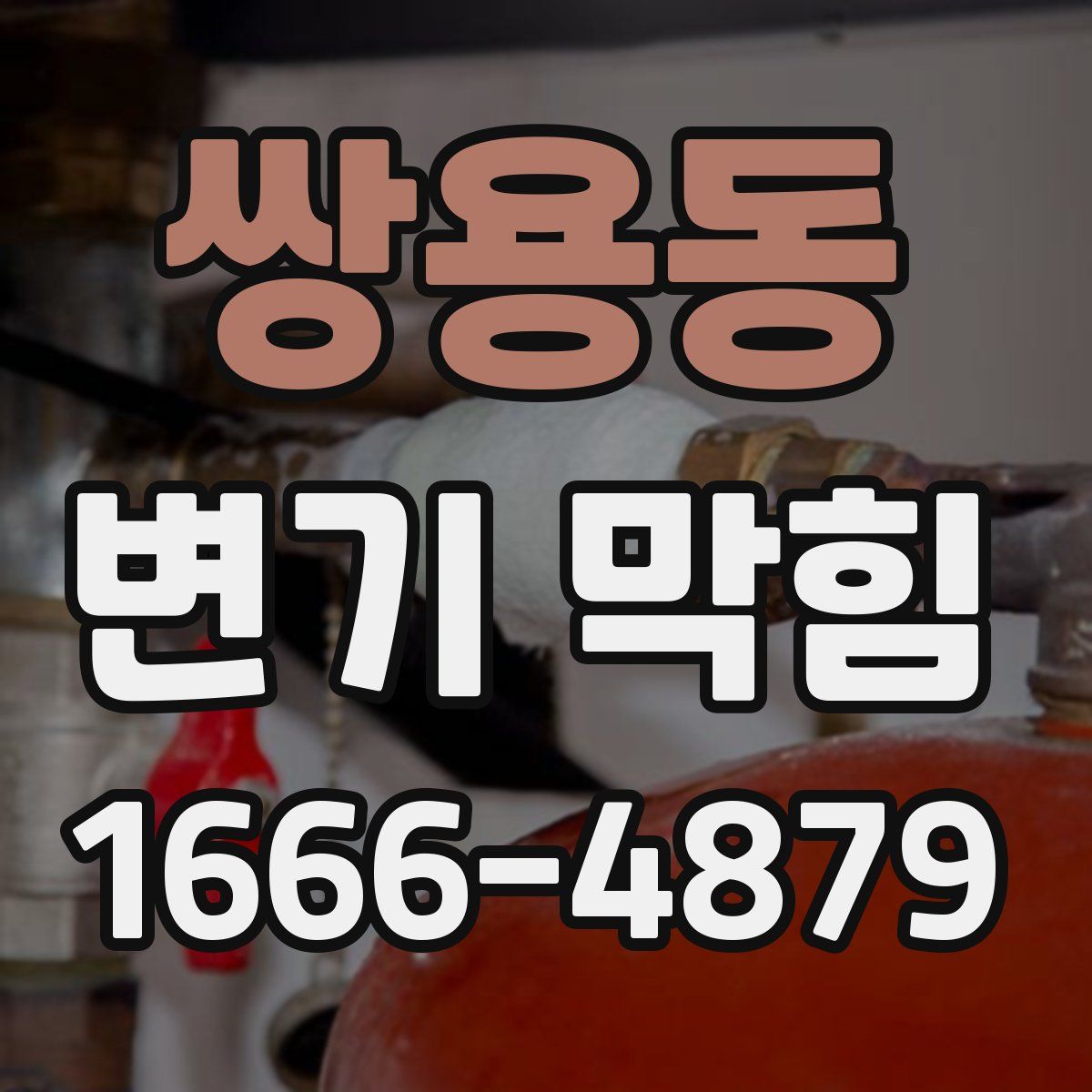 쌍용동 변기 막힘