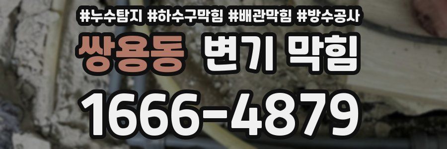 쌍용동 변기 막힘