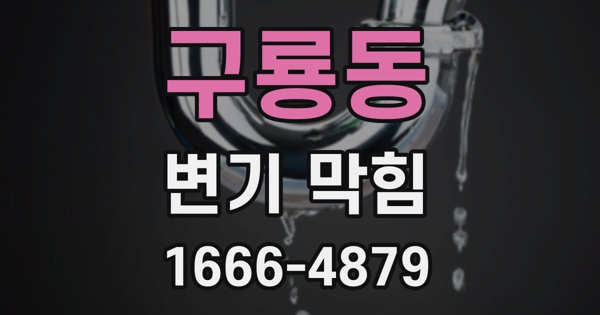 구룡동 변기 막힘