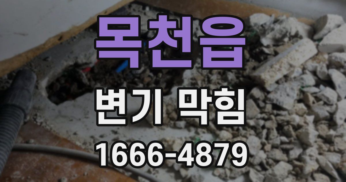 목천읍 변기 막힘