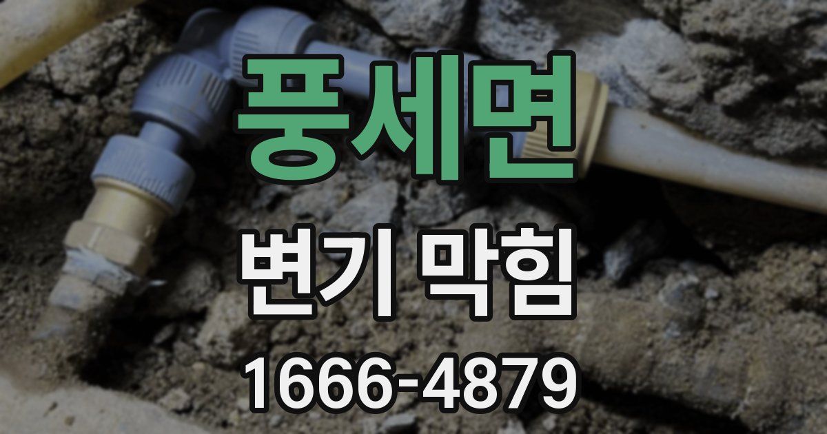 풍세면 변기 막힘