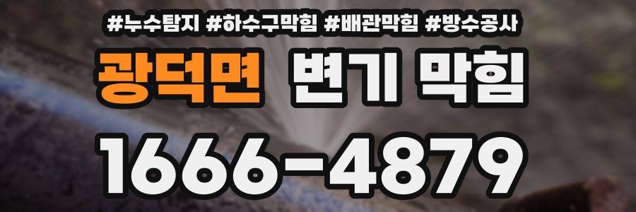 광덕면 변기 막힘