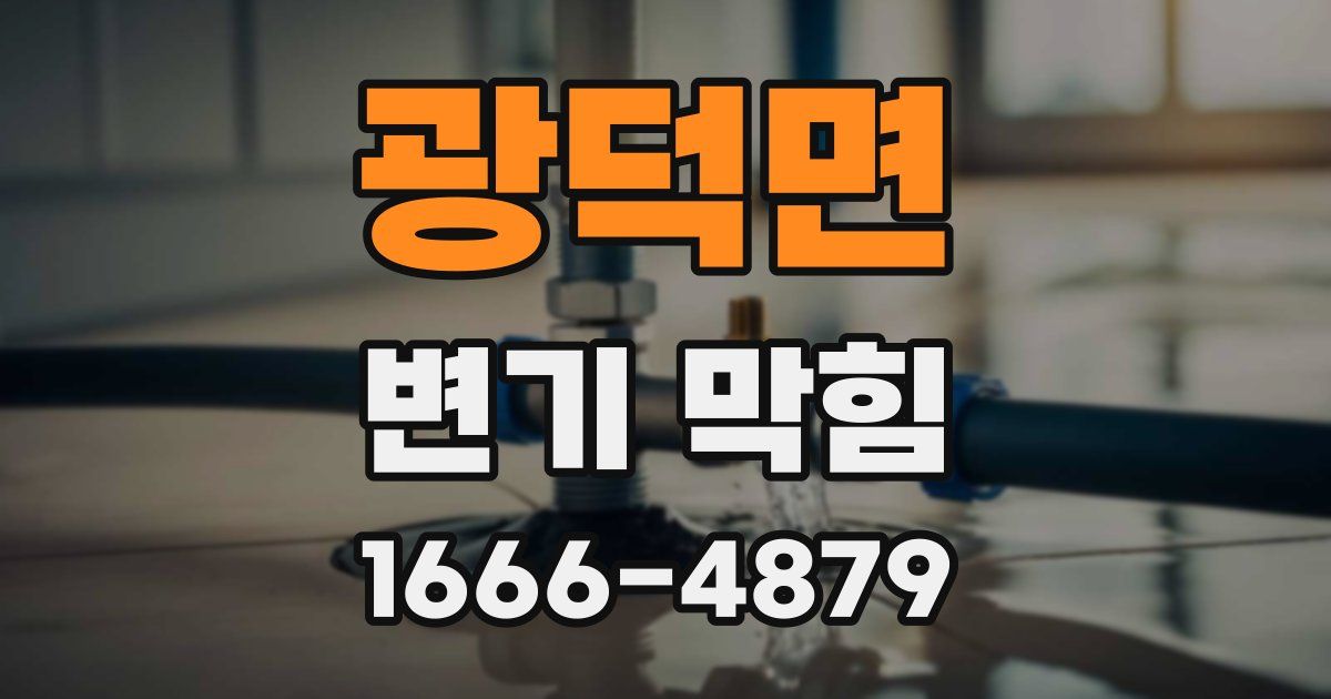 광덕면 변기 막힘