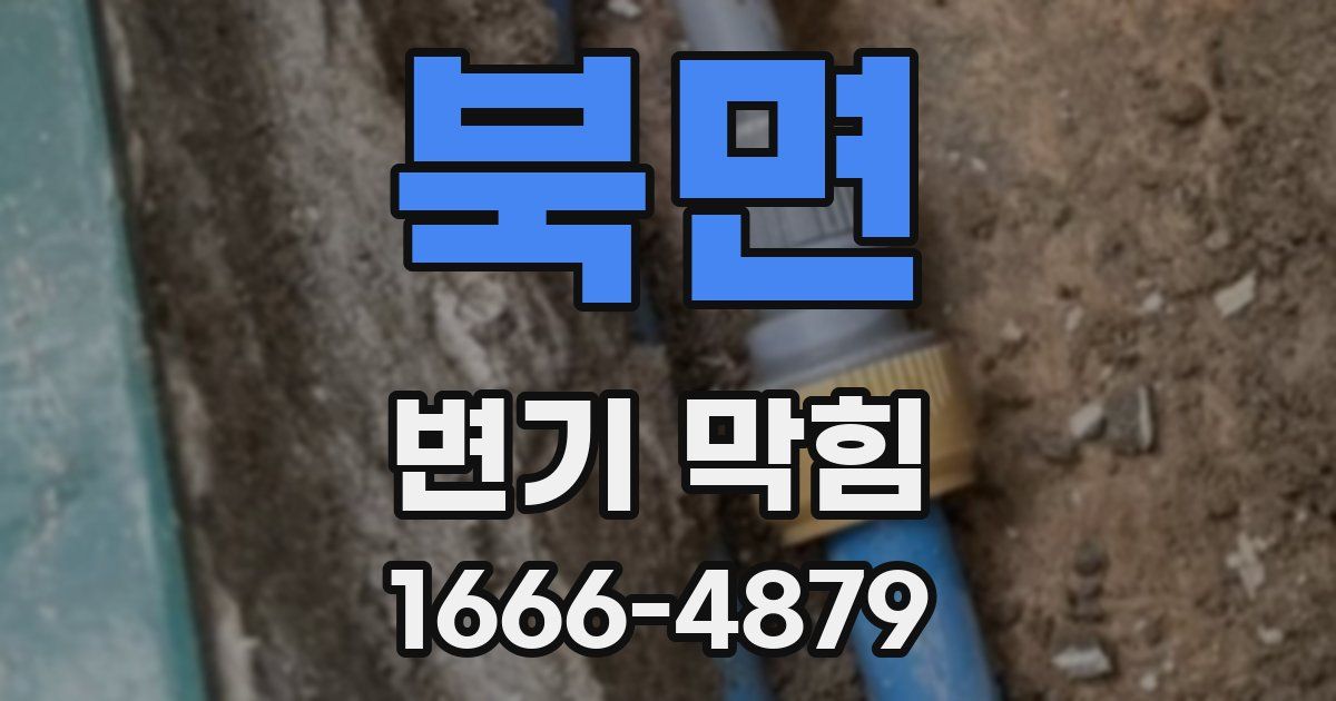 북면 변기 막힘