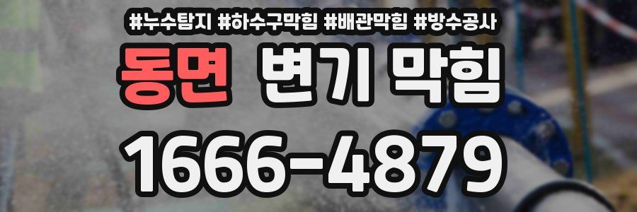 동면 변기 막힘