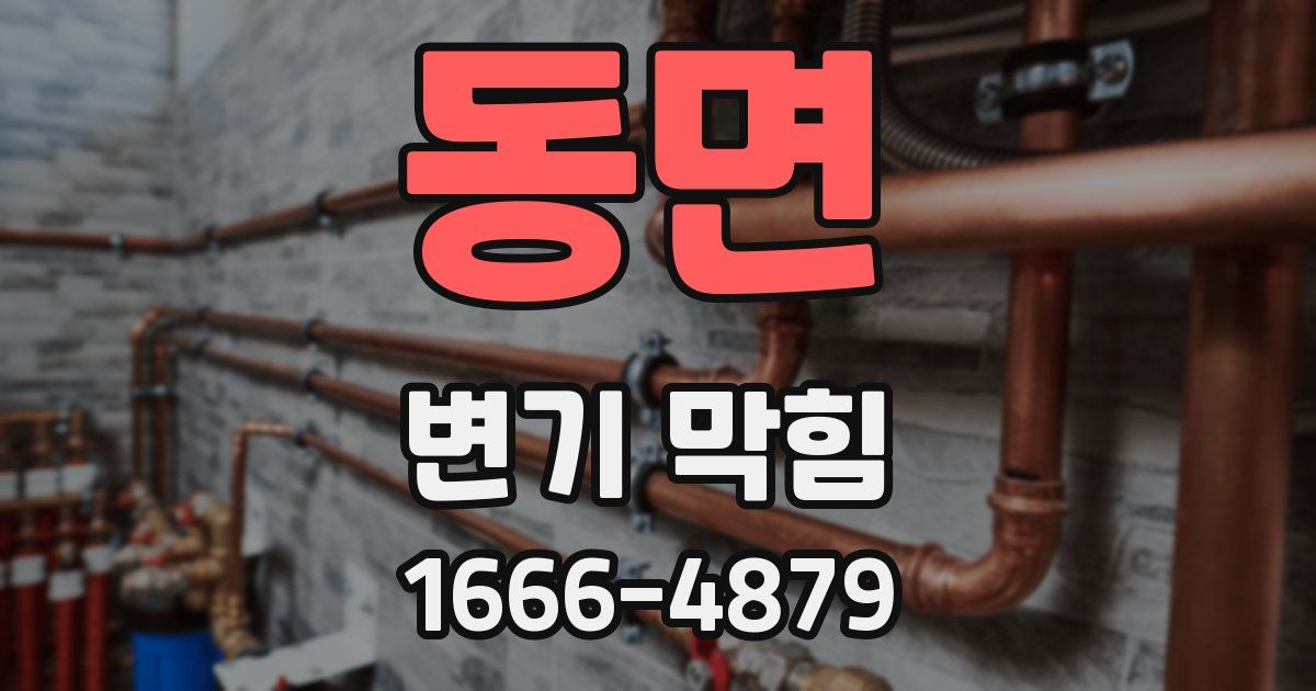 동면 변기 막힘
