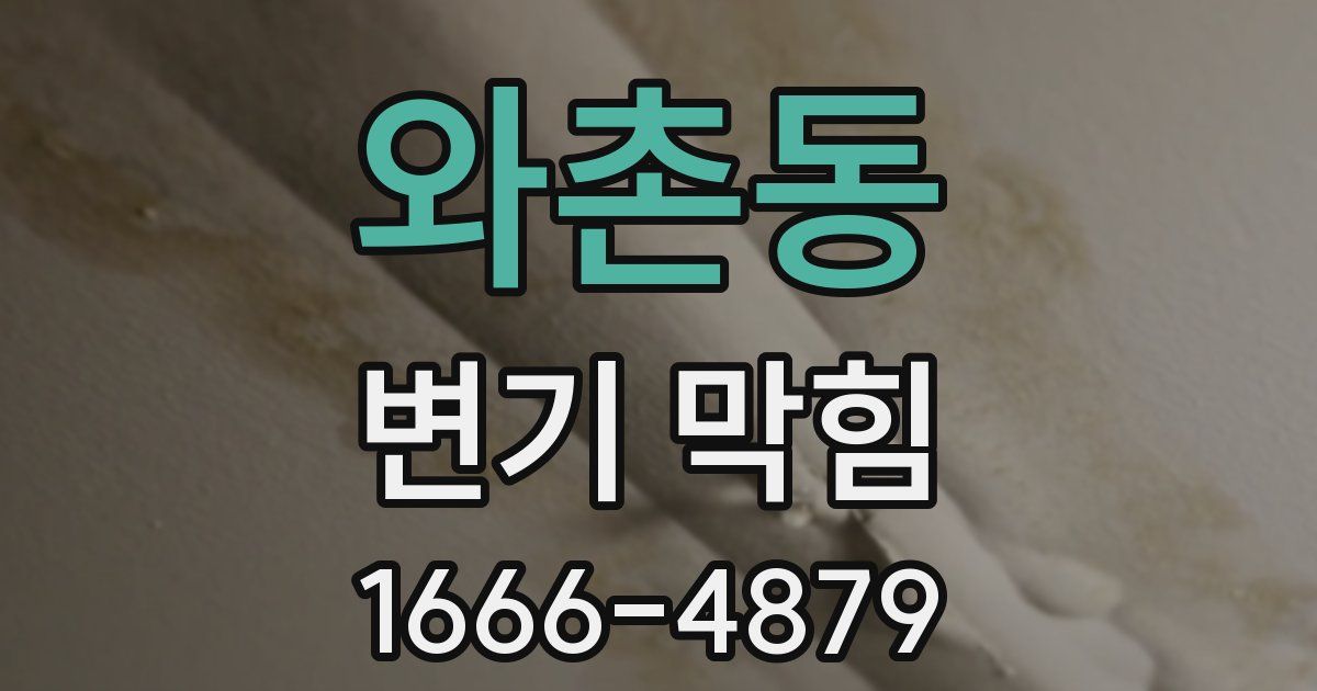 와촌동 변기 막힘