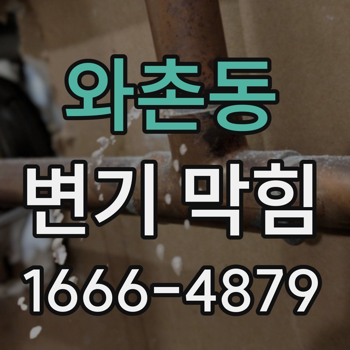 와촌동 변기 막힘