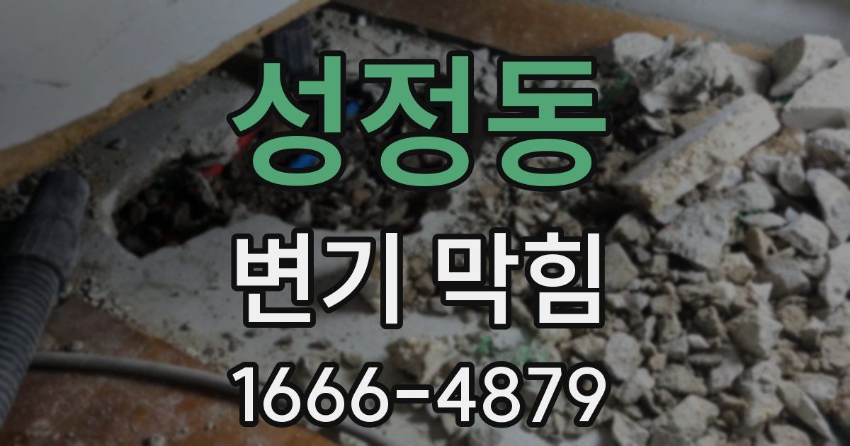 성정동 변기 막힘