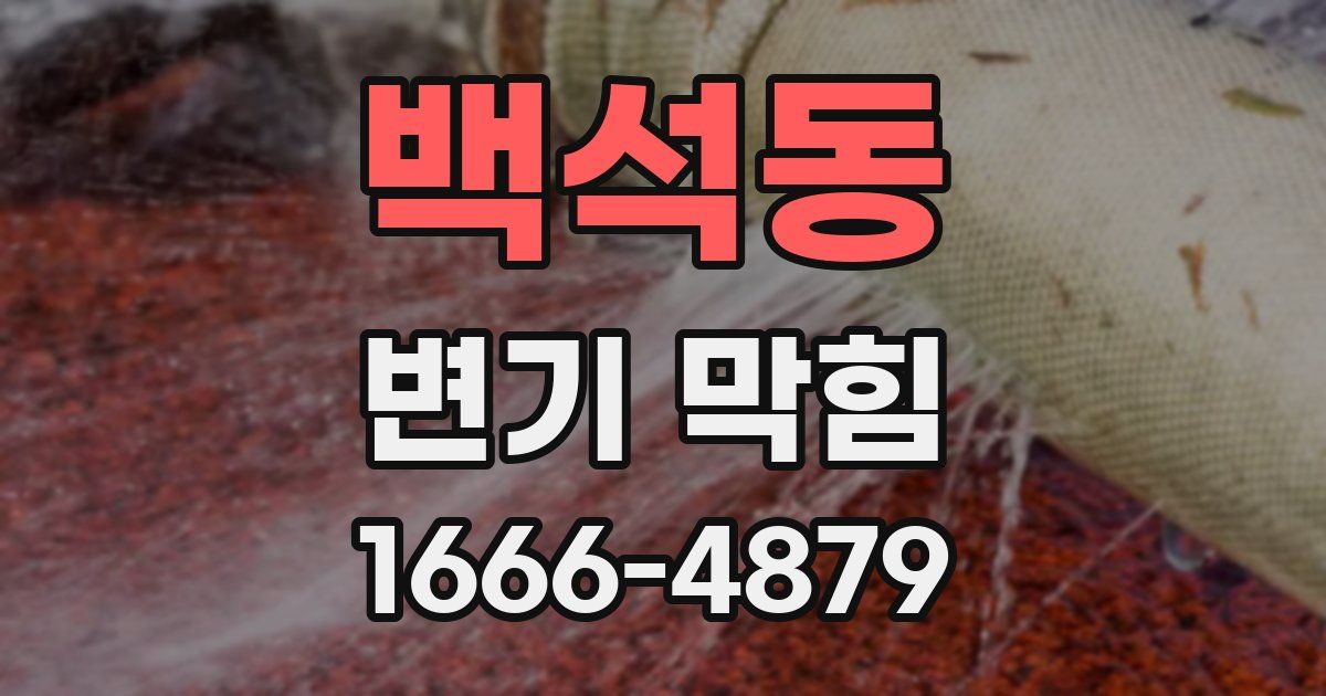 백석동 변기 막힘