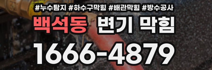백석동 변기 막힘