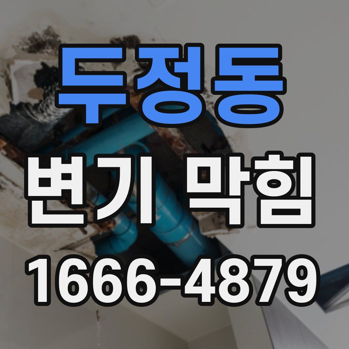 두정동 변기 막힘