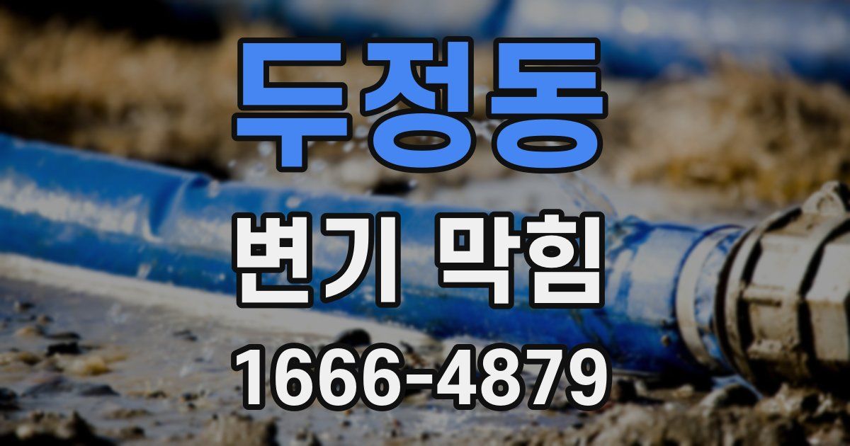 두정동 변기 막힘