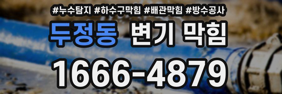 두정동 변기 막힘