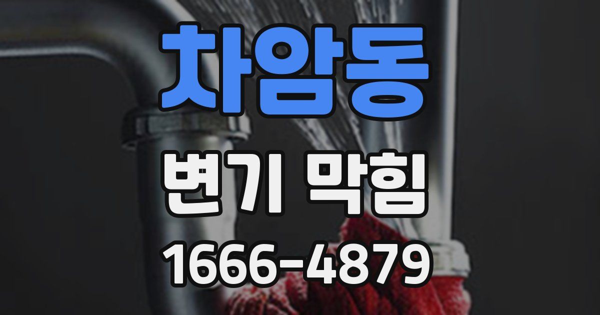 차암동 변기 막힘