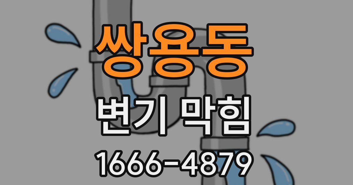 쌍용동 변기 막힘