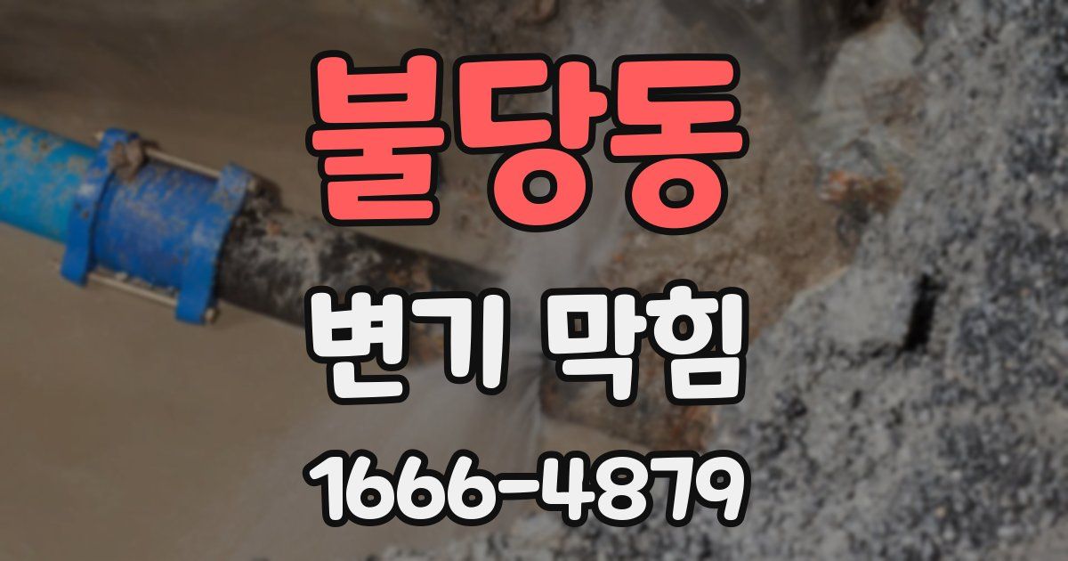불당동 변기 막힘