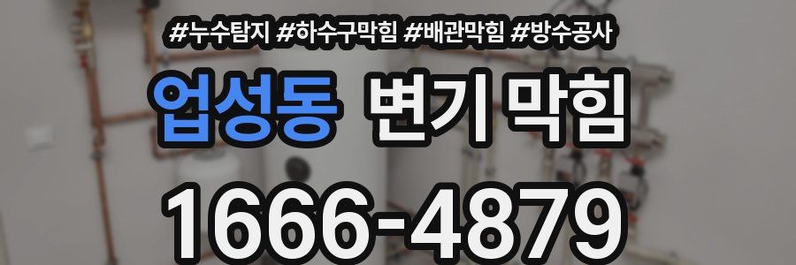 업성동 변기 막힘