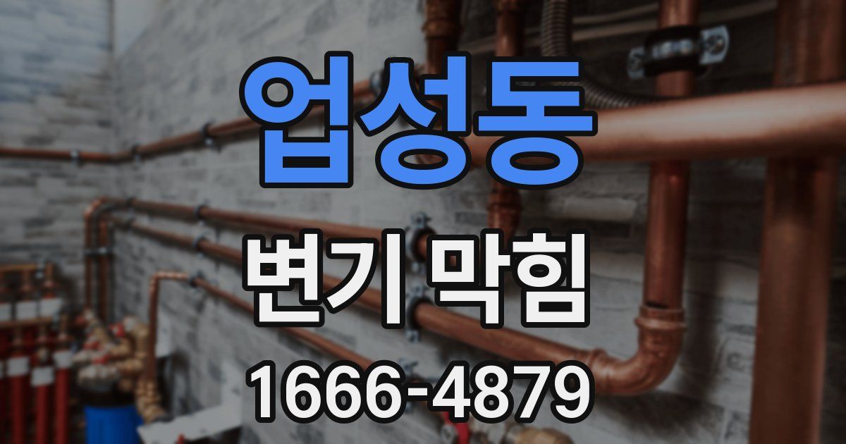 업성동 변기 막힘