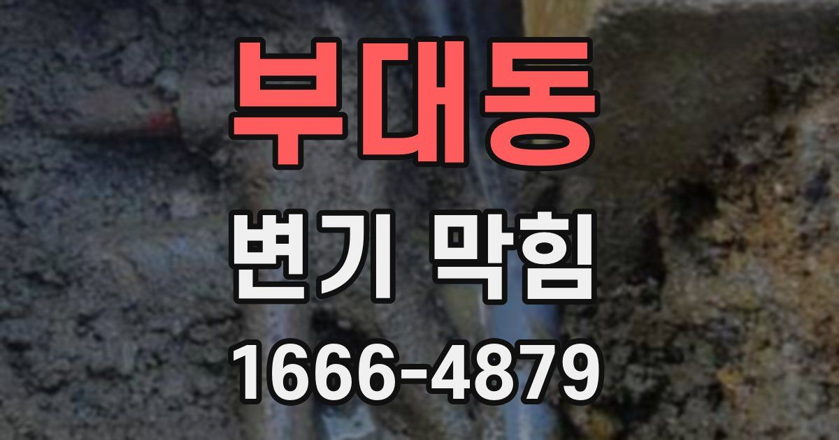 부대동 변기 막힘