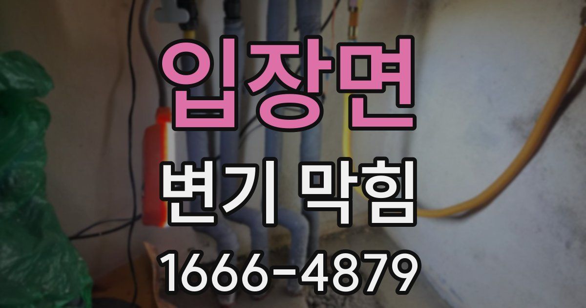 입장면 변기 막힘