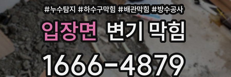 입장면 변기 막힘