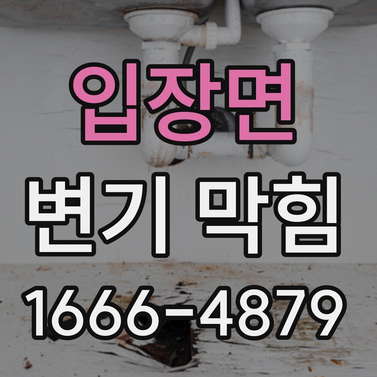 입장면 변기 막힘