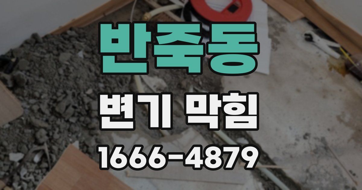 반죽동 변기 막힘