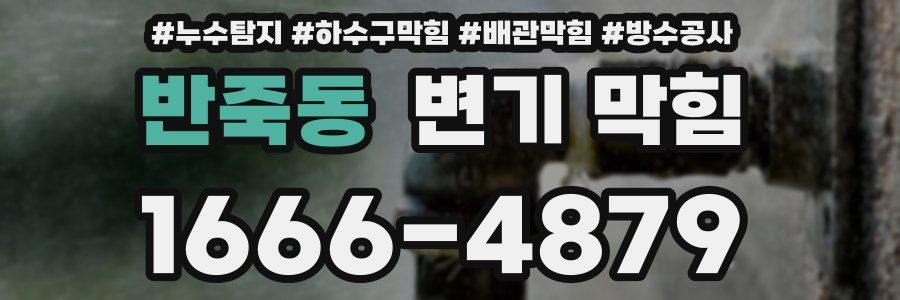 반죽동 변기 막힘