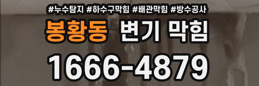 봉황동 변기 막힘