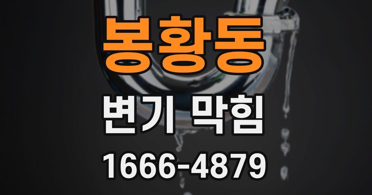 봉황동 변기 막힘
