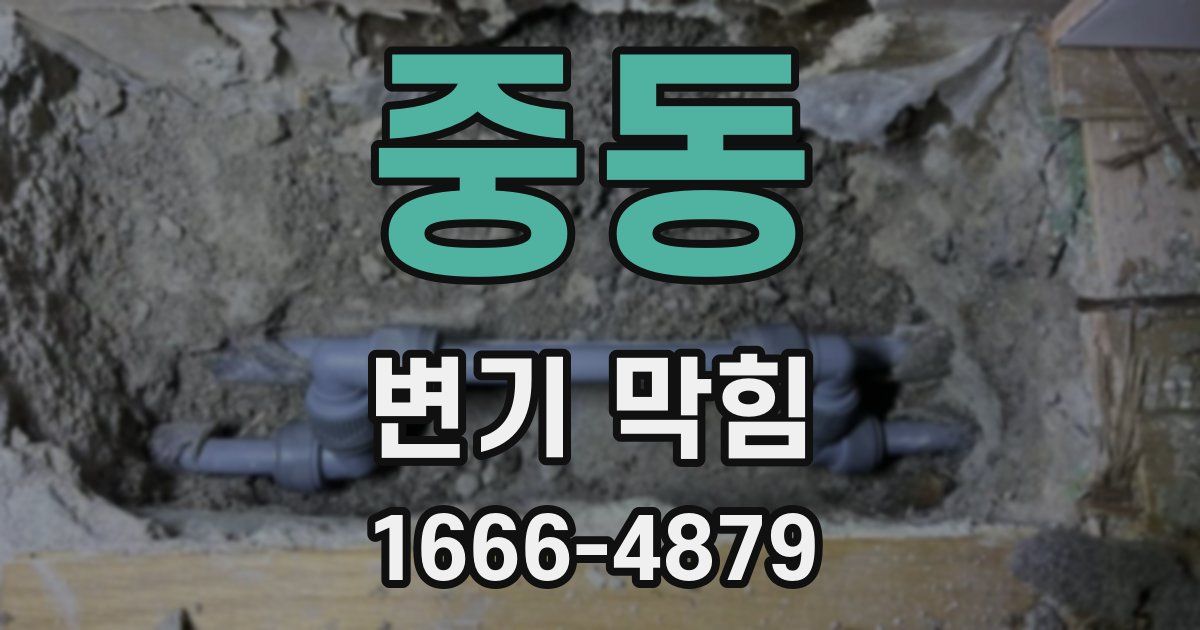 중동 변기 막힘