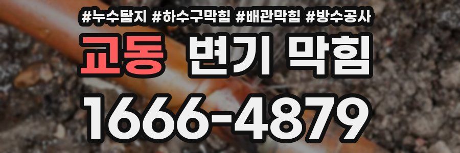 교동 변기 막힘