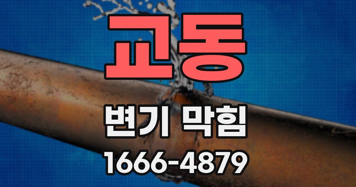 교동 변기 막힘