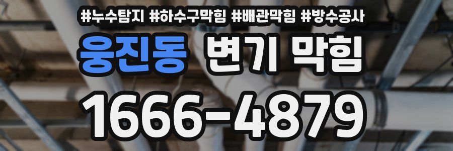 웅진동 변기 막힘