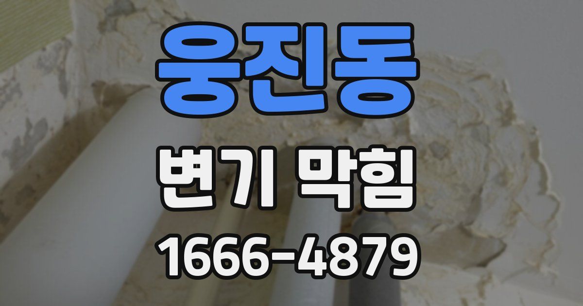 웅진동 변기 막힘
