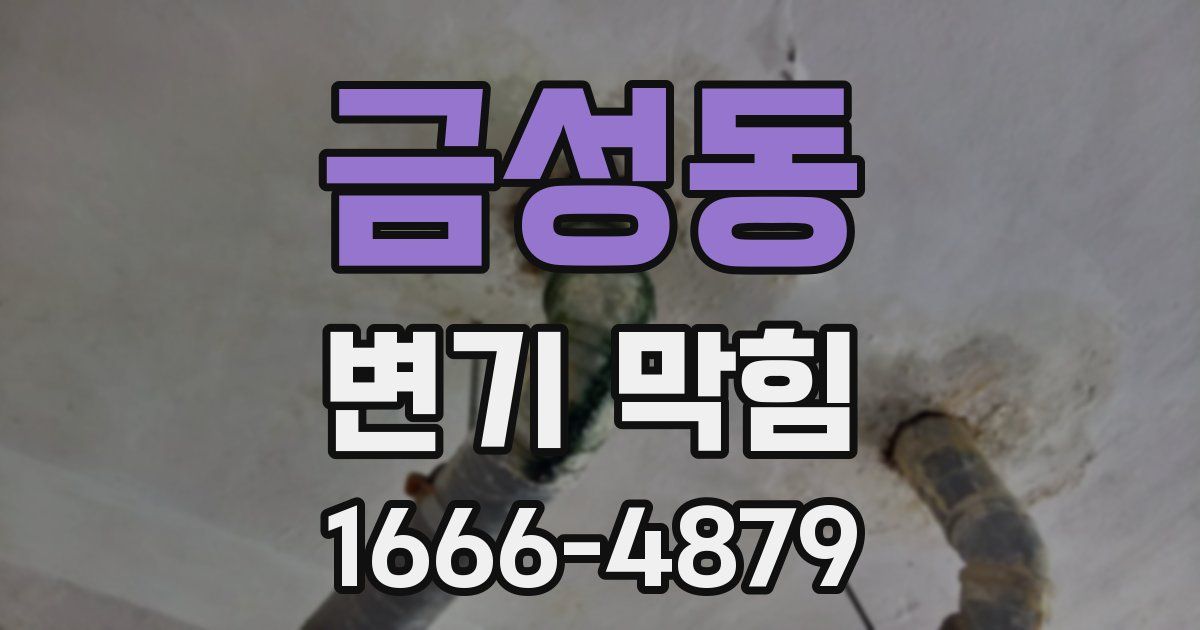 금성동 변기 막힘