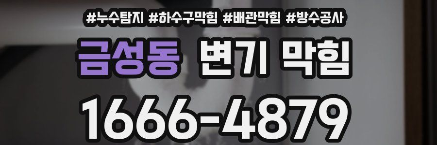 금성동 변기 막힘