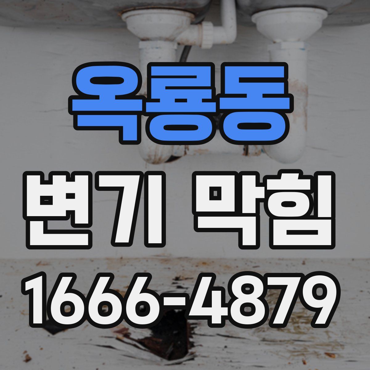 옥룡동 변기 막힘