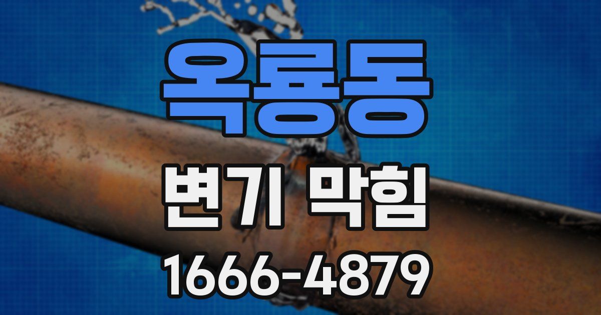 옥룡동 변기 막힘
