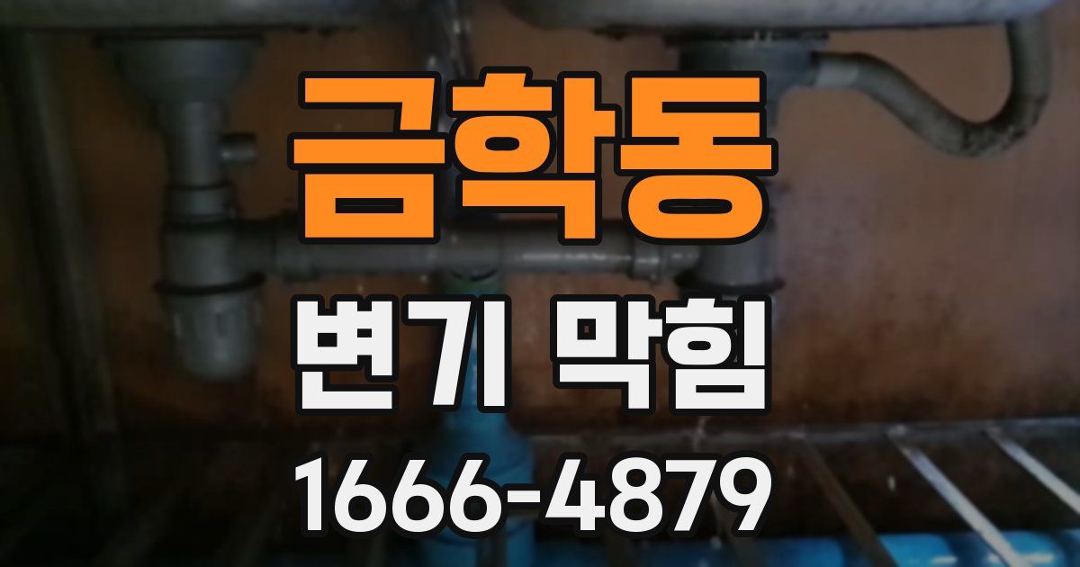 금학동 변기 막힘