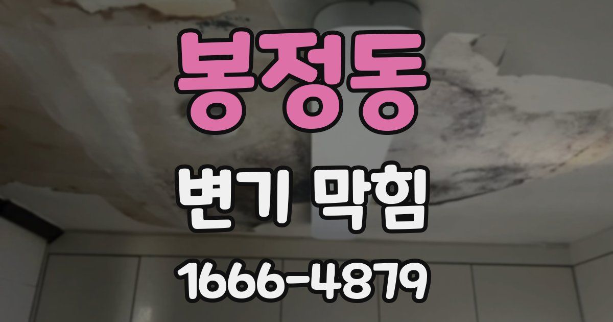 봉정동 변기 막힘