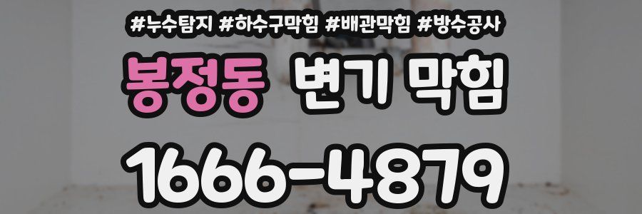봉정동 변기 막힘