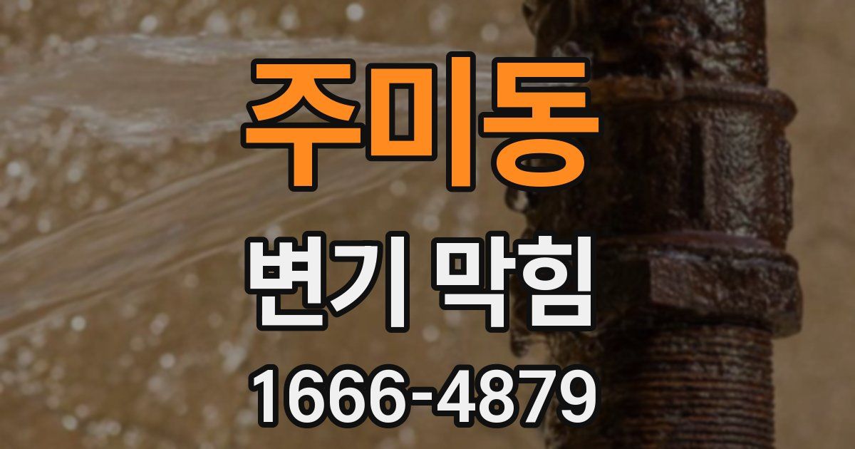 주미동 변기 막힘