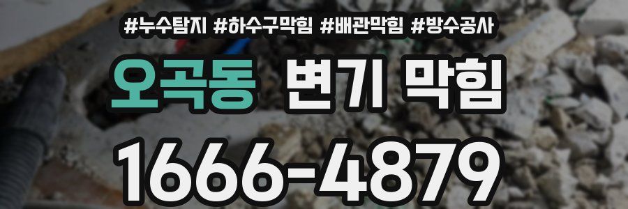 오곡동 변기 막힘