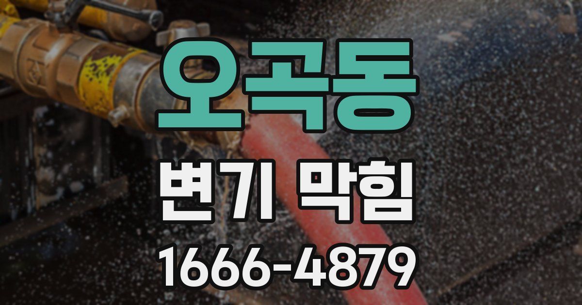 오곡동 변기 막힘