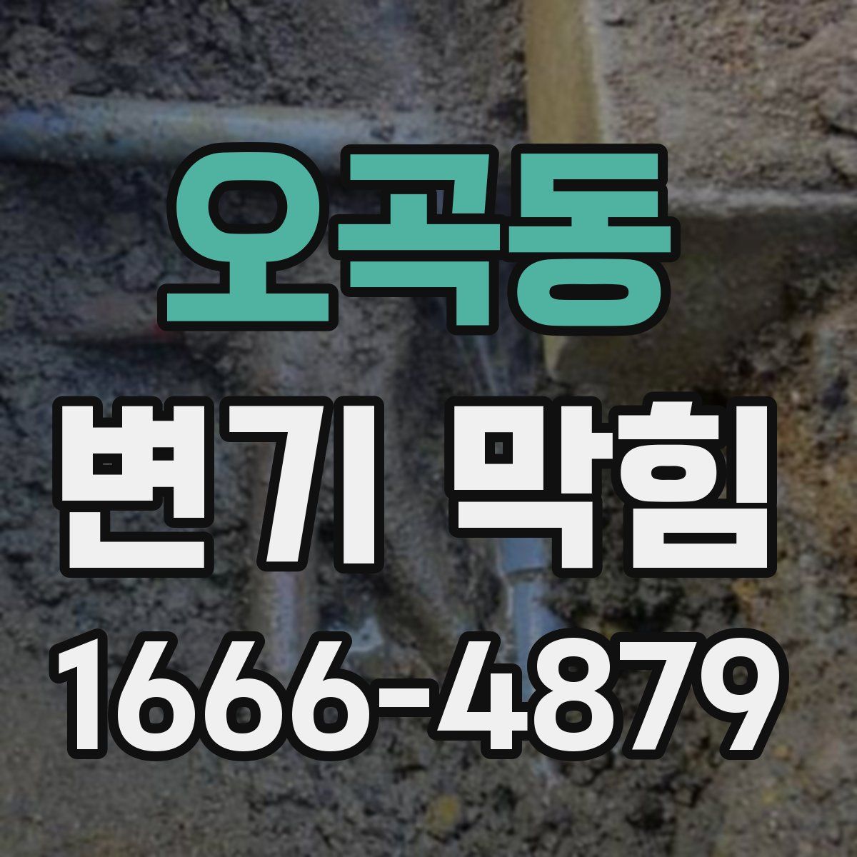 오곡동 변기 막힘