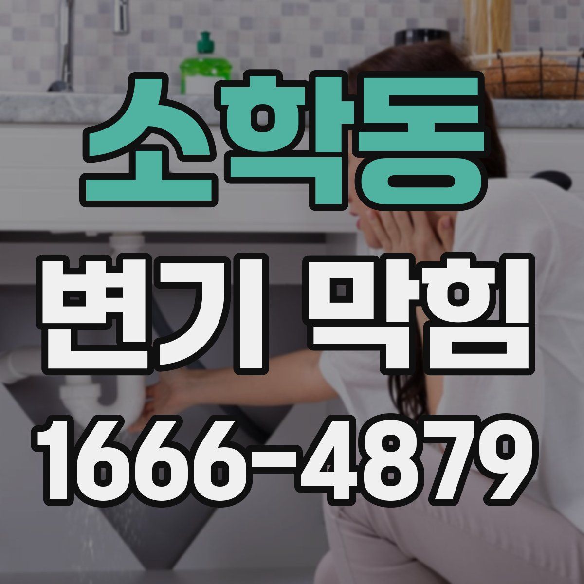 소학동 변기 막힘